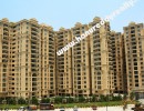 3 BHK Flat for Sale in Hitechcity