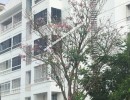 3 BHK Flat for Sale in Hinkal