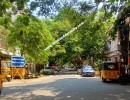 3 BHK Flat for Sale in Royapettah