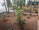 3 BHK Flat for Sale in Pallikaranai