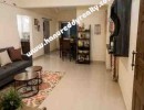 3 BHK Flat for Sale in Bommanahalli