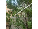2 BHK Independent House for Sale in Meena Estate