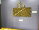 2 BHK Flat for Sale in T.Nagar