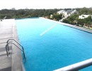 3 BHK Flat for Sale in Muttukadu