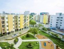 3 BHK Flat for Sale in Thoraipakkam