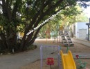 3 BHK Flat for Rent in Raja Annamalaipuram