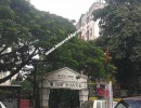 1 BHK Flat for Sale in Vadapalani