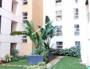 3 BHK Flat for Rent in Thoraipakkam