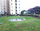 3 BHK Flat for Rent in Thoraipakkam