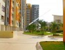 3 BHK Flat for Sale in Sathy Road