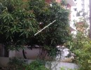 3 BHK Villa for Rent in Medavakkam