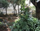 4 BHK Independent House for Sale in Raja Annamalaipuram