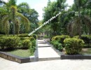 2 BHK Flat for Sale in Anna Nagar