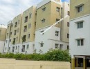 2 BHK Flat for Sale in Ganapathy