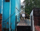 2 BHK Flat for Sale in Nanganallur