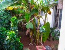 3 BHK Villa for Sale in Thudiyalur