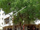 3 BHK Flat for Sale in Perungudi
