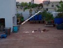 6 BHK Independent House for Sale in Alapakkam