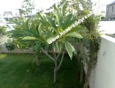 3 BHK Independent House for Sale in Madukkarai