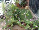 3 BHK Independent House for Sale in Kalapatti