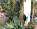 3 BHK Independent House for Sale in Kalapatti