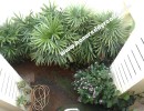 3 BHK Independent House for Sale in Kalapatti