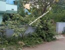 2 BHK Independent House for Sale in Thudiyalur