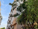3 BHK Duplex Flat for Sale in R S Puram