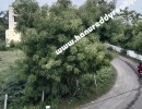 6 BHK Duplex House for Sale in Thaiyur