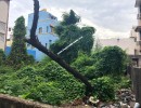  BHK Mixed-Residential for Sale in Kilpauk