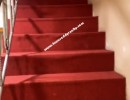 3 BHK Duplex Flat for Sale in Lulla Nagar