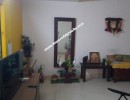 3 BHK Flat for Sale in Saibaba Colony