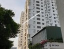 6 BHK Duplex Flat for Rent in Thoraipakkam