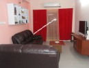 3 BHK Flat for Rent in Ashok Nagar