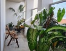 3 BHK Flat for Sale in Kotturpuram