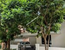 3 BHK Independent House for Sale in Ramanathapuram