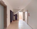 3 BHK Flat for Sale in Guindy