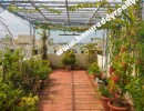 4 BHK Flat for Sale in G.V. Residency