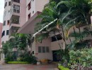 3 BHK Flat for Sale in Malleswaram