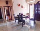 3 BHK Flat for Sale in R S Puram