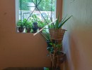 2 BHK Flat for Rent in Kilpauk