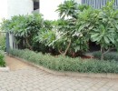 3 BHK Flat for Sale in Saidapet