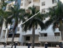 3 BHK Flat for Sale in Magarpatta