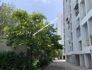 3 BHK Flat for Sale in Magarpatta