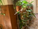 2 BHK Flat for Sale in Fatima Nagar