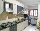 3 BHK Flat for Rent in Saibaba Colony