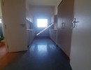 3 BHK Flat for Rent in Alwarpet