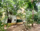 3 BHK Flat for Sale in Villivakkam