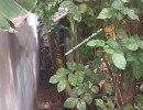 2 BHK Independent House for Sale in Town Hall