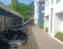 3 BHK Flat for Sale in Velachery